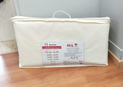 Guanciale ICL